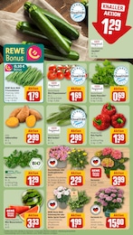 REWE Blumen im Prospekt REWE Blumen im Prospekt