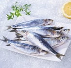 Supeco - Sardine Bretagne : offre du catalogue Promo Sardine Bretagne à 4,99 € dans le catalogue Supeco ""