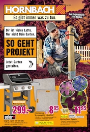 Hornbach Kletterpflanzen im Prospekt Hornbach Kletterpflanzen im Prospekt
