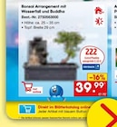 Bonsai Arrangement mit Wasserfall und Buddha von  im aktuellen Netto Marken-Discount Prospekt für 39,99 €